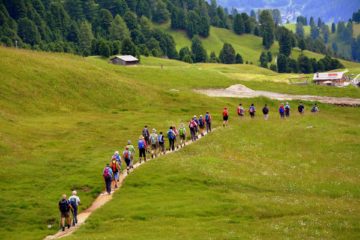 Nordic Walking Wieczorem